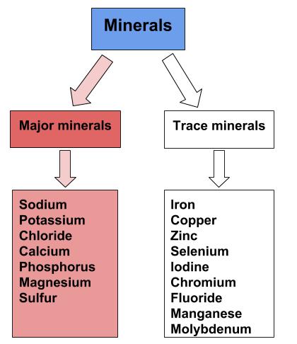 Major minerals