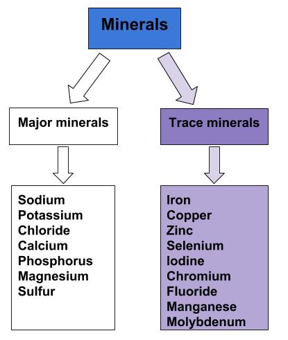 Trace minerals