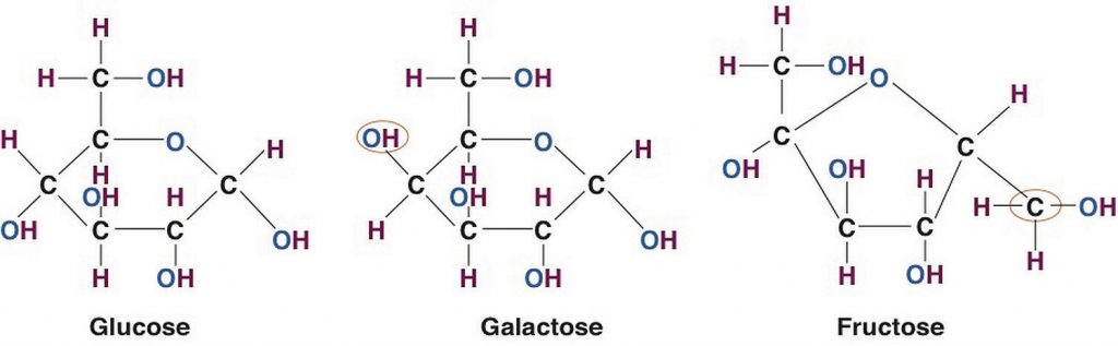 The structural differences of common monosaccharides