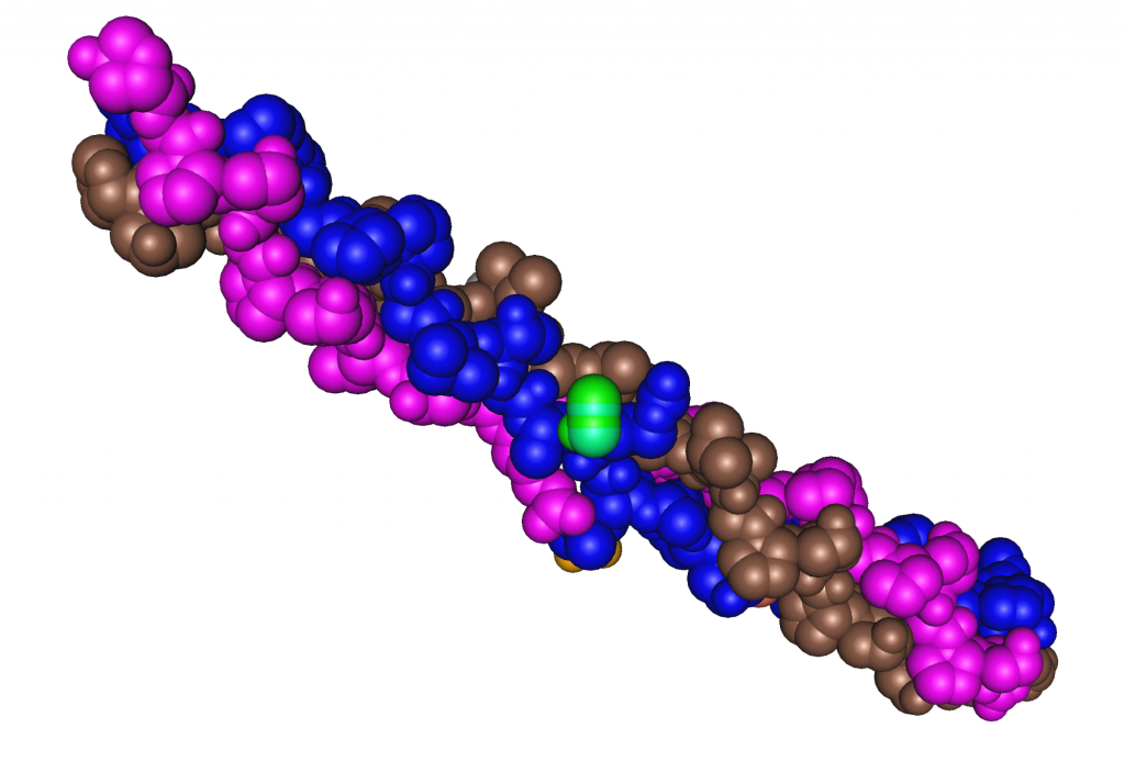 Collagen triple helix protein