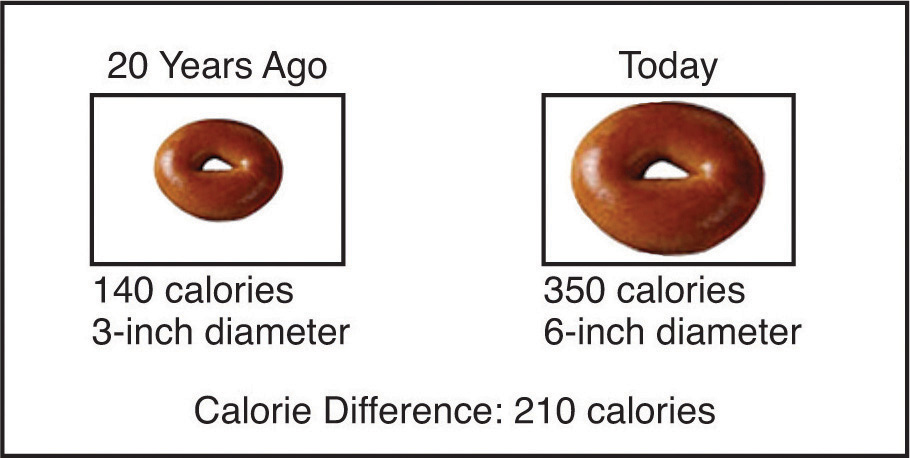 The changes in serving size demonstrated by changes in donut size.