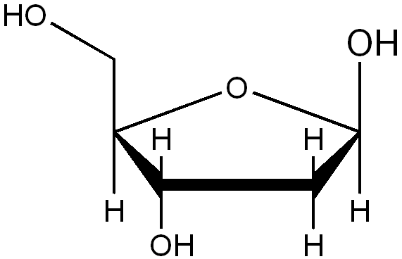 Deoxyribose