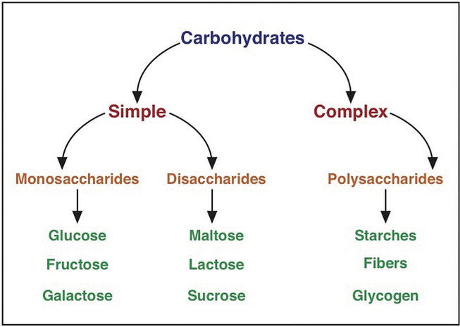 Classification of carbohydrates