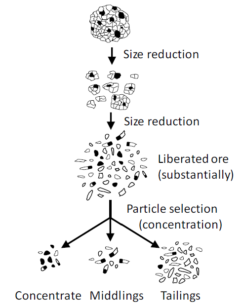 Flowchart of ore beneficiation: large particles undergo two stages of size reduction, producing liberated ore, then particle selection separates concentrate, middlings, and tailings.