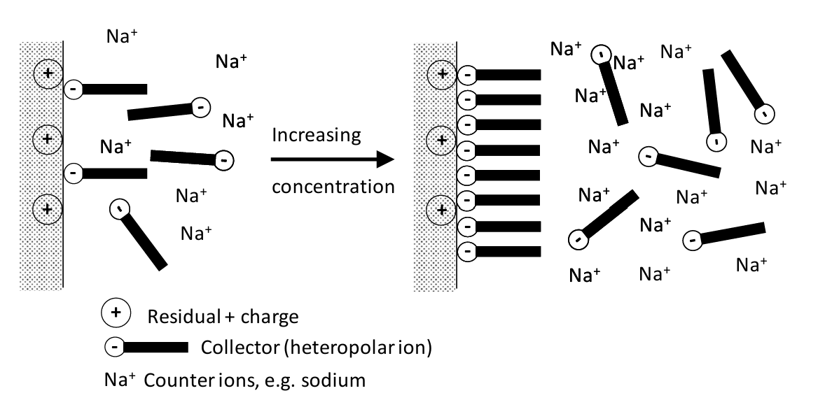 Diagram showing ion behavior near a positively charged surface as counter ion concentration increases. Left: dispersed Na⁺ ions and sparse collectors (black bars with negative signs). Right: dense clustering of Na⁺ ions and aligned collectors near the surface