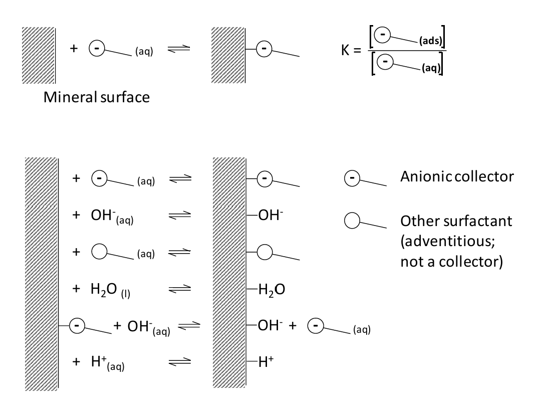 Diagram illustrating adsorption equilibria and surface interactions in mineral processing. Top: general equilibrium between a positively charged mineral site and a negatively charged aqueous species, with equilibrium constant K = [(+O⁻)ₐdₛ] / [(O⁻)ₐq]. Bottom: specific reactions showing adsorption of OH⁻, H₂O, and H⁺ onto the mineral surface. Labels include anionic collector and adventitious surfactant.