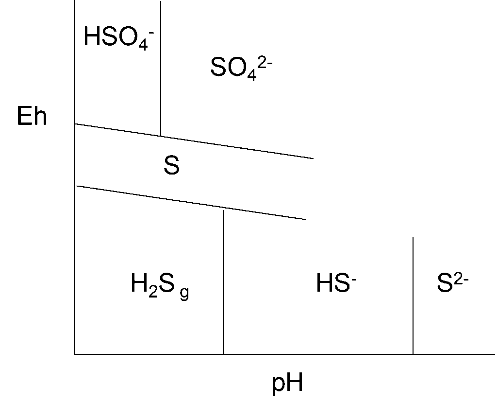 Partial Pourbaix diagram for sulfur species showing thermodynamic stability regions of HSO₄⁻, SO₄²⁻, elemental sulfur (S), H₂S₉, HS⁻, and S²⁻ across pH and Eh. HSO₄⁻, SO₄²⁻ regions on top, elemental sulphur in the middle and H₂S₉, HS⁻, and S²⁻ regions underneath, respectively in order of increasing Eh.