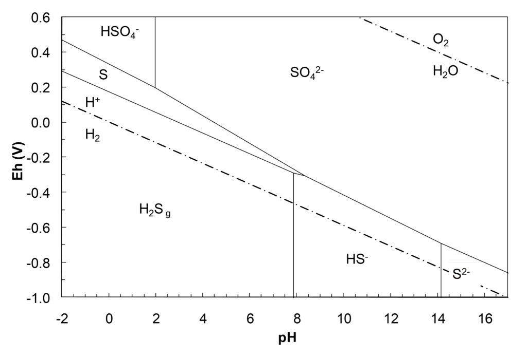 Pourbaix diagram for sulfur species showing stability regions of HSO₄⁻, SO₄²⁻, elemental sulfur (S), H₂S₉, HS⁻ and water redox boundaries (H⁺/H₂ and O₂/H₂O) across pH (−2 to 16) and electrode potential (Eh, −1.0 V to 1.0 V). HSO₄⁻, SO₄²⁻, and elemental sulfur dominate at high Eh, and HS⁻, H₂S₉ dominate at low Eh. A region of S²⁻ appears at low Eh and past a pH of 14.