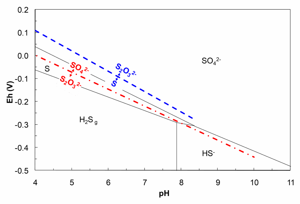 Pourbaix diagram for sulfur species showing stability regions of S (elemental sulfur), SO₄²⁻ (sulfate), SO₃²⁻ (sulfite), H₂S₈ (polysulfide), and HS⁻ (hydrosulfide) across pH (0 to 11) and electrode potential (Eh, −0.5 V to 1.0 V). Solid black lines mark species boundaries, red dash-dot lines indicate equilibrium transitions between sulfur compounds, and blue dashed lines represent water redox equilibria (O₂/H₂O and H₂/H₂O).