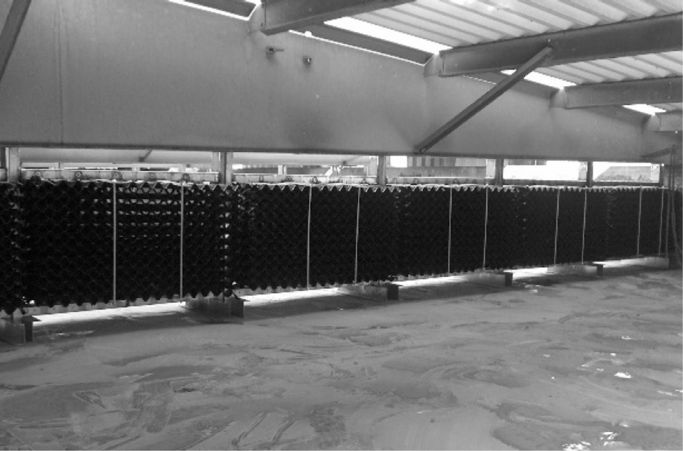 Coalescer panels installed in a solvent extraction tank, featuring multiple black structured elements mounted horizontally