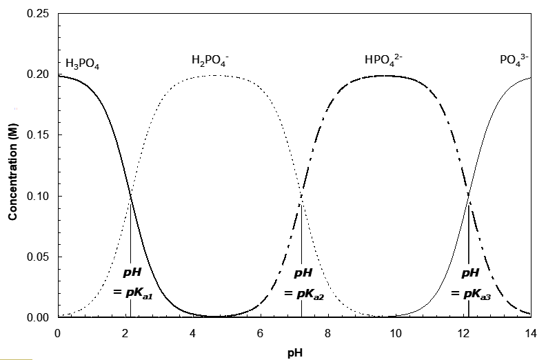 Graph showing the concentration of phosphate species (H₃PO₄, H₂PO₄⁻, HPO₄²⁻, PO₄³⁻) versus pH (0–14). H₃PO₄ dominates at low pH, H₂PO₄⁻ around pH 2–7, HPO₄²⁻ from pH 7–12, and PO₄³⁻ at high pH. Vertical lines mark pKa₁, pKa₂, and pKa₃, indicating transitions between species. Concentration ranges from 0 to 0.25 M.