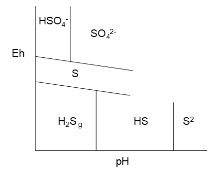 Partial Pourbaix diagram for sulfur species showing thermodynamic stability regions of HSO₄⁻, SO₄²⁻, elemental sulfur (S), H₂S₉, HS⁻, and S²⁻ across pH and Eh. HSO₄⁻, SO₄²⁻ regions on top, elemental sulphur in the middle and H₂S₉, HS⁻, and S²⁻ regions underneath, respectively in order of increasing Eh.