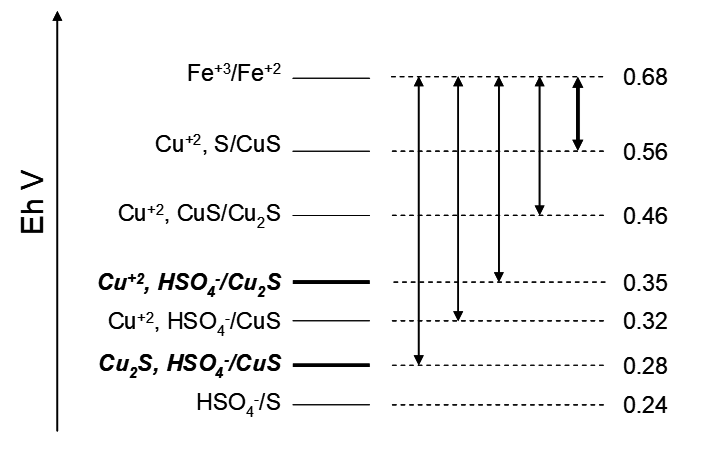 Vertical chart of redox reactions showing electrode potentials (Eh in volts) for Fe³⁺/Fe²⁺, Cu²⁺/CuS, Cu²⁺/Cu₂S, Cu²⁺/HSO₄⁻/Cu₂S, Cu²⁺/HSO₄⁻/CuS, Cu₂S/HSO₄⁻/CuS, and HSO₄⁻/S. Eh values range from 0.68 V to 0.24 V, with arrows indicating decreasing potential and electron transfer direction.