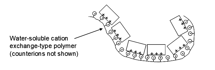 Illustration of a water‑soluble cation exchange‑type polymer. The polymer backbone is shown as a curved chain of repeating units, each with positively charged groups (plus signs) and circular cationic sites capable of exchanging cations in solution. Counterions are omitted.