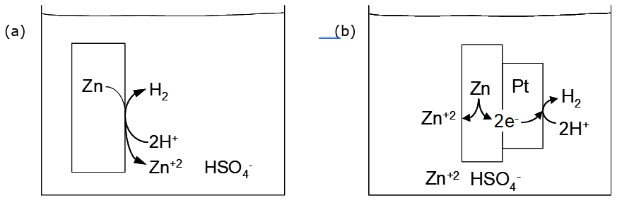 (A) Diagram of a chemical reaction showing zinc metal reacting with hydrogen sulfate ions in aqueous solution. Zinc atoms combine with 2 H⁺ to form Zn²⁺ ions and release hydrogen gas (H₂), illustrating a single displacement redox reaction. (B) Schematic of a galvanic cell with zinc anode and platinum cathode. Zinc oxidizes to Zn²⁺, releasing electrons that travel to the platinum electrode, where hydrogen ions are reduced to hydrogen gas. Electrolyte contains Zn²⁺ and HSO₄⁻ ions.