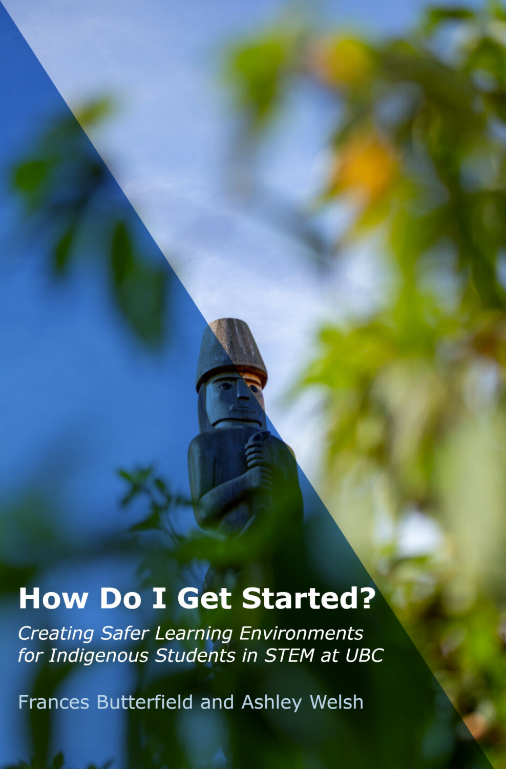 Cover image for How Do I Get Started? Creating Safer Learning Environments for Indigenous Students in STEM at UBC