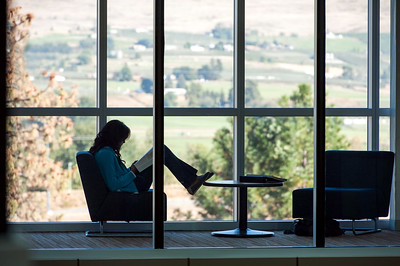 Student reading in profile against bank of windows on UBC's Okanagan campus.