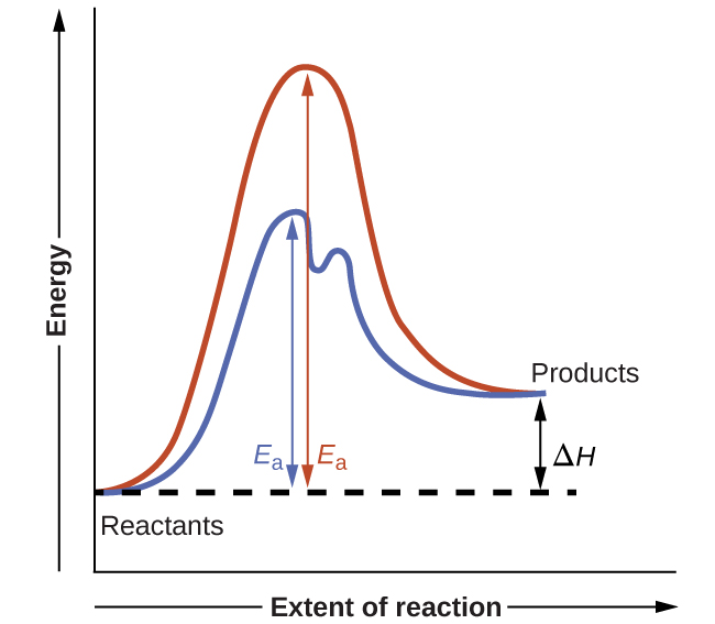 A graph is shown with the label, “Extent of reaction,” appearing in a right pointing arrow below the x-axis and the label, “Energy,” in an upward pointing arrow just left of the y-axis. Approximately one-fifth of the way up the y-axis, a very short, somewhat flattened portion of both a red and a blue curve are shown. This region is labeled “Reactants.” A red concave down curve extends upward to reach a maximum near the height of the y-axis. From the peak, the curve continues downward to a second horizontally flattened region at a height of about one-third the height of the y-axis. This flattened region is labeled, “Products.” A second curve is drawn in blue with the same flattened regions at the start and end of the curve. The height of this curve is about two-thirds the height of the first curve and just right of its maximum, the curve dips low, then rises back and continues a downward trend at a lower height, but similar to that of the red curve. A horizontal dashed straight line extends from the point where both curves start in the “Reactants” region. A double sided arrow extends from the “Products” region at the end of both curves to this horizontal dashed line. This is labeled “capital delta H.” A double sided arrow extends from the dashed horizontal line to the peak of the red concave down curve. This arrow is labeled “E subscript a.” Another double sided arrow extends from the dashed horizontal line to the peak of the blue curve. This arrow is labeled “E subscript a.”