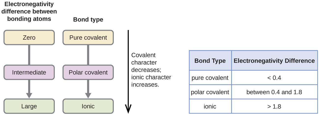 Two flow charts and table are shown. The first flow chart is labeled, “Electronegativity difference between bonding atoms.” Below this label are three rounded text bubbles, connected by a downward-facing arrow, labeled, “Zero,” “Intermediate,” and “Large,” respectively. The second flow chart is labeled, “Bond type.” Below this label are three rounded text bubbles, connected by a downward-facing arrow, labeled, “Pure covalent,” “Polar covalent,” and “Ionic,” respectively. A double ended arrow is written vertically to the right of the flow charts and labeled, “Covalent character decreases; ionic character increases.” The table is made up of two columns and four rows. The header line is labeled “Bond type” and “Electronegativity difference.” The left column contains the phrases “Pure covalent,” “Polar covalent,” and “Ionic,” while the right column contains the values “less than 0.4,” “between 0.4 and 1.8,” and “greater than 1.8.”