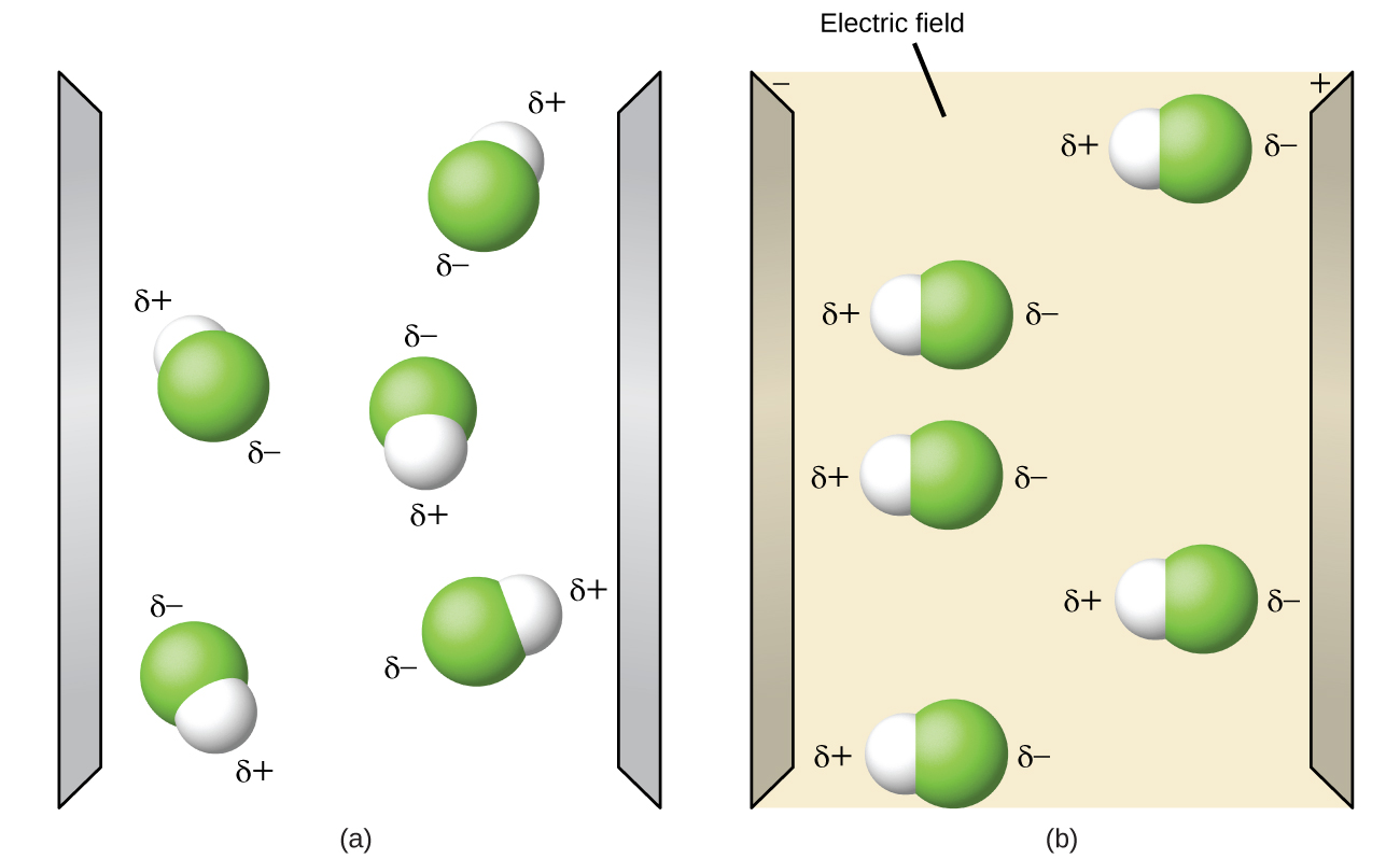 Two diagrams are shown and labeled “a” and “b.” Diagram a shows two vertical, gray electrodes. There are five molecules in between. The molecules are separate from one another and are composed of a hydrogen atom bonded to a fluorine atom. The fluorine atom is labeled with a dipole symbol and a superscripted negative sign while the hydrogen atom is labeled with a dipole symbol and a superscripted positive sign. The molecules are randomly oriented in the space. The right diagram also shows two vertical gray electrodes, the left labeled as negative and the right labeled as positive. The space between is yellow. The same molecules are present, but this time they are all facing horizontally, with the hydrogen-end of each molecule facing toward the negative electrode.