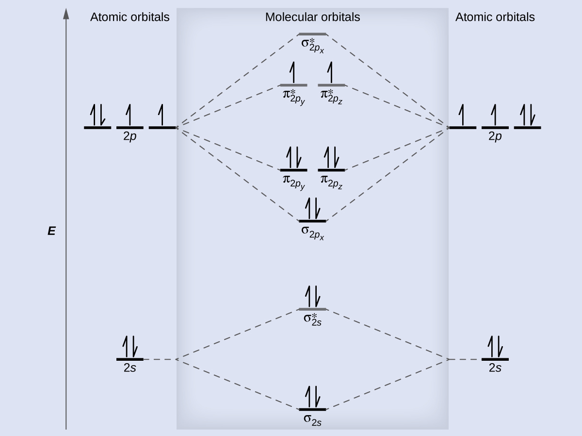 A diagram is shown that has an upward-facing vertical arrow running along the left side labeled, “E.” At the bottom center of the diagram is a horizontal line labeled, “sigma subscript 2 s,” that has two vertical half arrows drawn on it, one facing up and one facing down. This line is connected to the right and left by upward-facing, dotted lines to two more horizontal lines, each labeled, “2 s,” and with two vertical half arrows drawn on them, one facing up and one facing down. These two lines are connected by upward-facing dotted lines to another line in the center of the diagram, but farther up from the first and labeled, “sigma subscript 2 s superscript asterisk.” This horizontal line has two vertical half-arrow drawn on it, one facing up and one facing down. Moving further up the center of the diagram is a horizontal line labeled, “sigma subscript 2 p subscript x,” which lies below two horizontal lines, lying side-by-side, and labeled “pi subscript 2 p subscript y,” and “pi subscript 2 p subscript z.” Both the bottom and top lines are connected to the right and left by upward-facing, dotted lines to three more horizontal lines, each labeled, “2 p,” on either side. These sets of lines each hold three upward-facing and one downward-facing half-arrow. They are connected by upward-facing dotted lines to another single line and then pair of double lines in the center of the diagram, but farther up from the lower lines. They are labeled, “sigma subscript 2 p subscript x superscript asterisk,” “pi subscript 2 p subscript y superscript asterisk,” and “pi subscript 2 p subscript z superscript asterisk,” respectively. The lower of these two central, horizontal lines each contain one upward-facing half-arrow. The left and right sides of the diagram have headers that read, ”Atomic orbitals,” while the center header reads, “Molecular orbitals.”