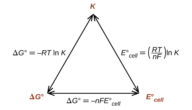 A diagram is shown that involves three double headed arrows positioned in the shape of an equilateral triangle. The vertices are labeled in red. The top vertex is labeled “K.“ The vertex at the lower left is labeled “delta G superscript degree symbol.” The vertex at the lower right is labeled “E superscript degree symbol subscript cell.” The right side of the triangle is labeled “E superscript degree symbol subscript cell equals ( R T divided by n F ) l n K.” The lower side of the triangle is labeled “delta G superscript degree symbol equals negative n F E superscript degree symbol subscript cell.” The left side of the triangle is labeled “delta G superscript degree symbol equals negative R T l n K.”