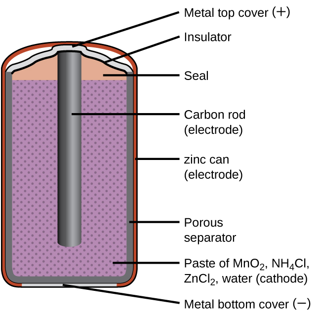 A diagram of a cross section of a dry cell battery is shown. The overall shape of the cell is cylindrical. The lateral surface of the cylinder, indicated as a thin red line, is labeled “zinc can (electrode).” Just beneath this is a slightly thicker dark grey surface that covers the lateral surface, top, and bottom of the battery, which is labeled “Porous separator.” Inside is a purple region with many evenly spaced small darker purple dots, labeled “Paste of M n O subscript 2, N H subscript 4 C l, Z n C l subscript 2, water (cathode).” A dark grey rod, labeled “Carbon rod (electrode),” extends from the top of the battery, leaving a gap of less than one-fifth the height of the battery below the rod to the bottom of the cylinder. A thin grey line segment at the very bottom of the cylinder is labeled “Metal bottom cover (negative).” The very top of the cylinder has a thin grey surface that curves upward at the center over the top of the carbon electrode at the center of the cylinder. This upper surface is labeled “Metal top cover (positive).” A thin dark grey line just below this surface is labeled “Insulator.” Below this, above the purple region, and outside of the carbon electrode at the center is an orange region that is labeled “Seal.”