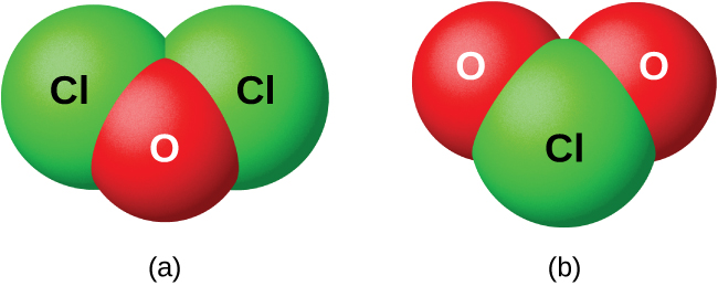Two space filling models are shown and labeled, “a,” and “b.” Model a shows a red atom labeled, “O,” bonded to two green atoms labeled, “C l,” in a v-shape. Model b shows a green atom labeled, “C l,” bonded to two red atoms labeled, “O,” in a v-shape.
