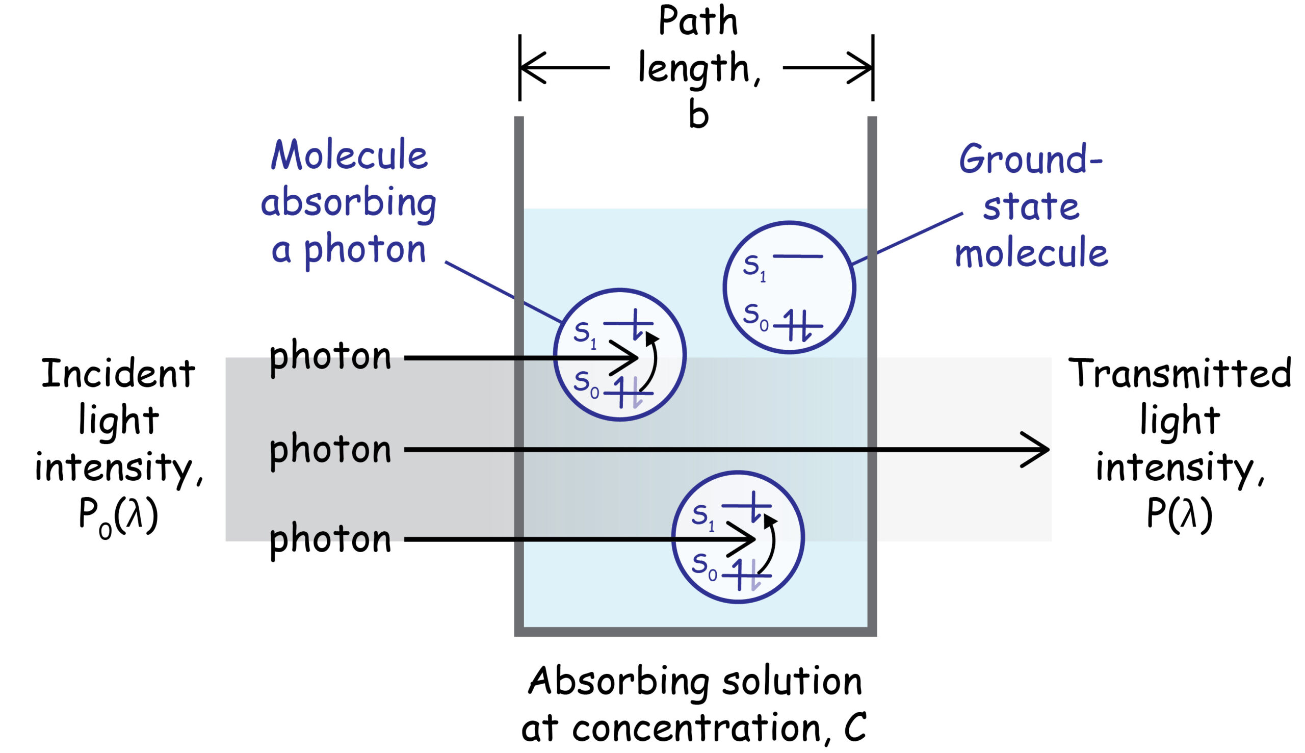 Simple illustration of molecules in solution absorbing photons and reducing the intensity of the transmitted light.