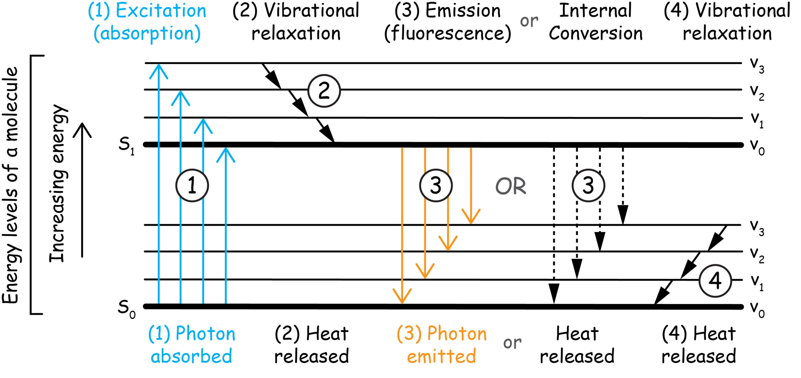 Simple diagrams of the processes leading to, and competing with, fluorescence.