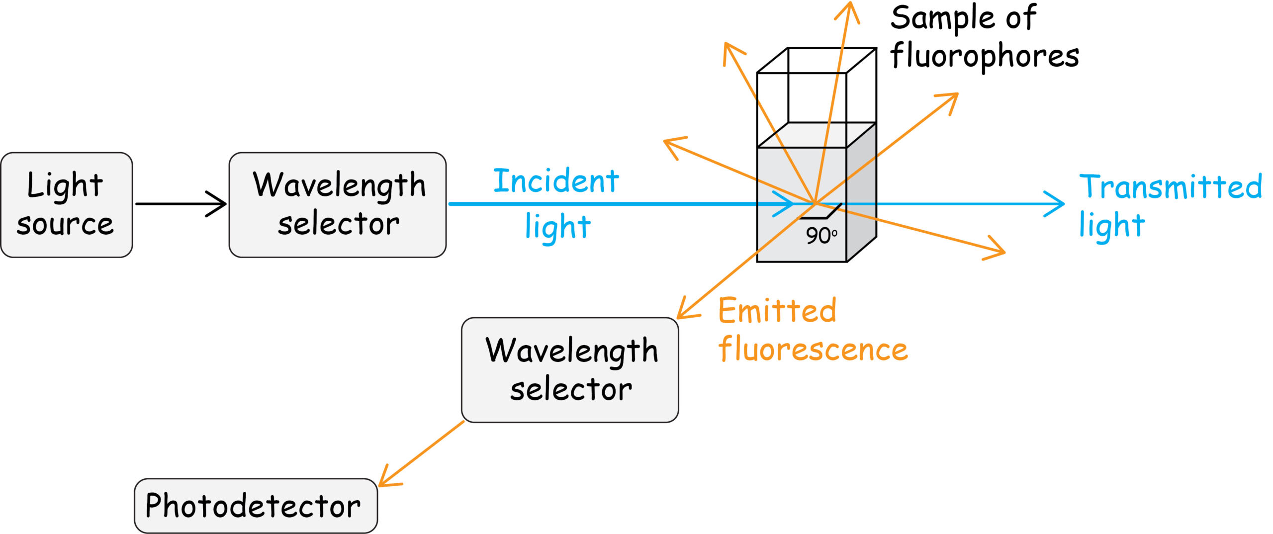 Simple diagram of a (spectro)fluoroimeter.