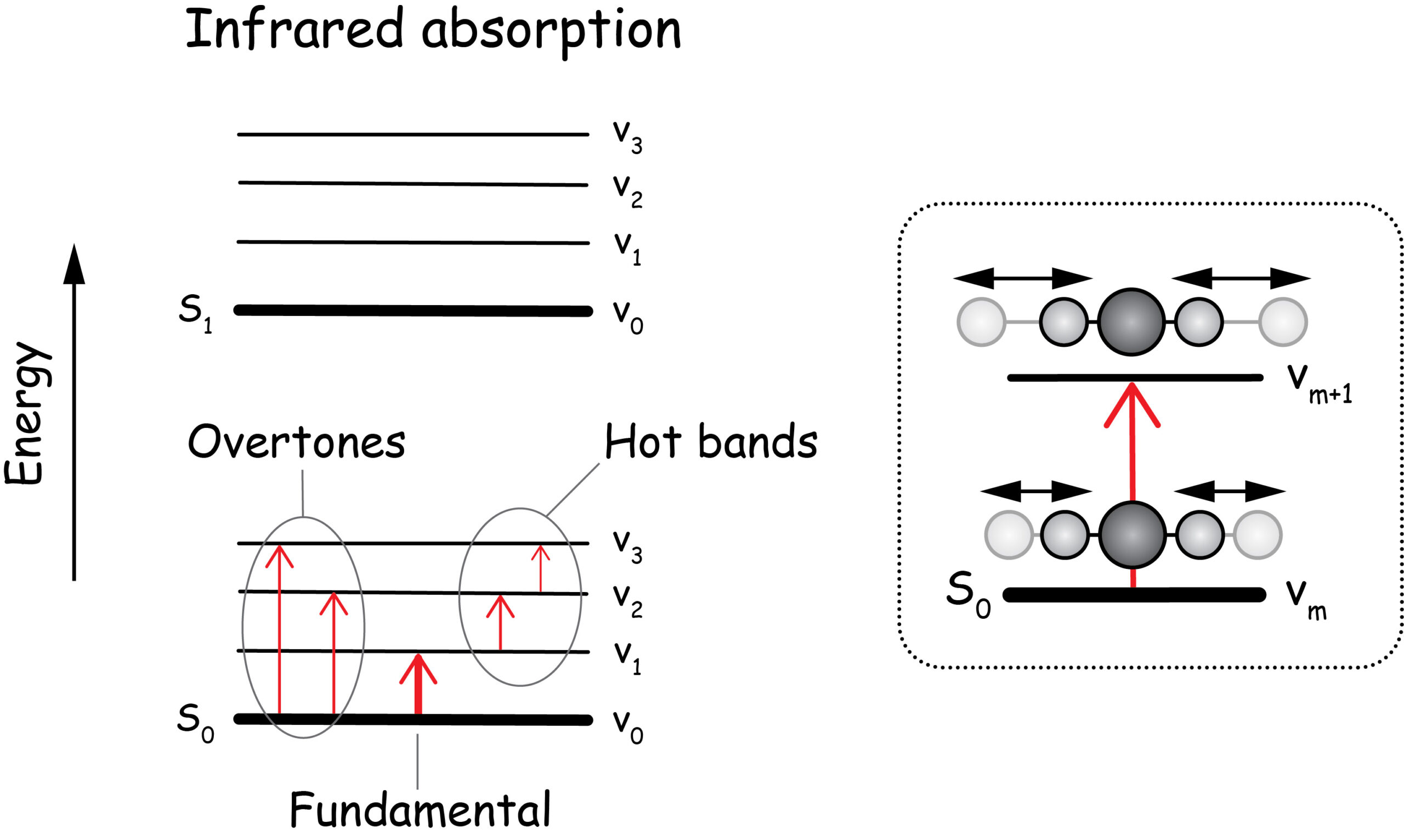 Energy level diagram for IR absorption