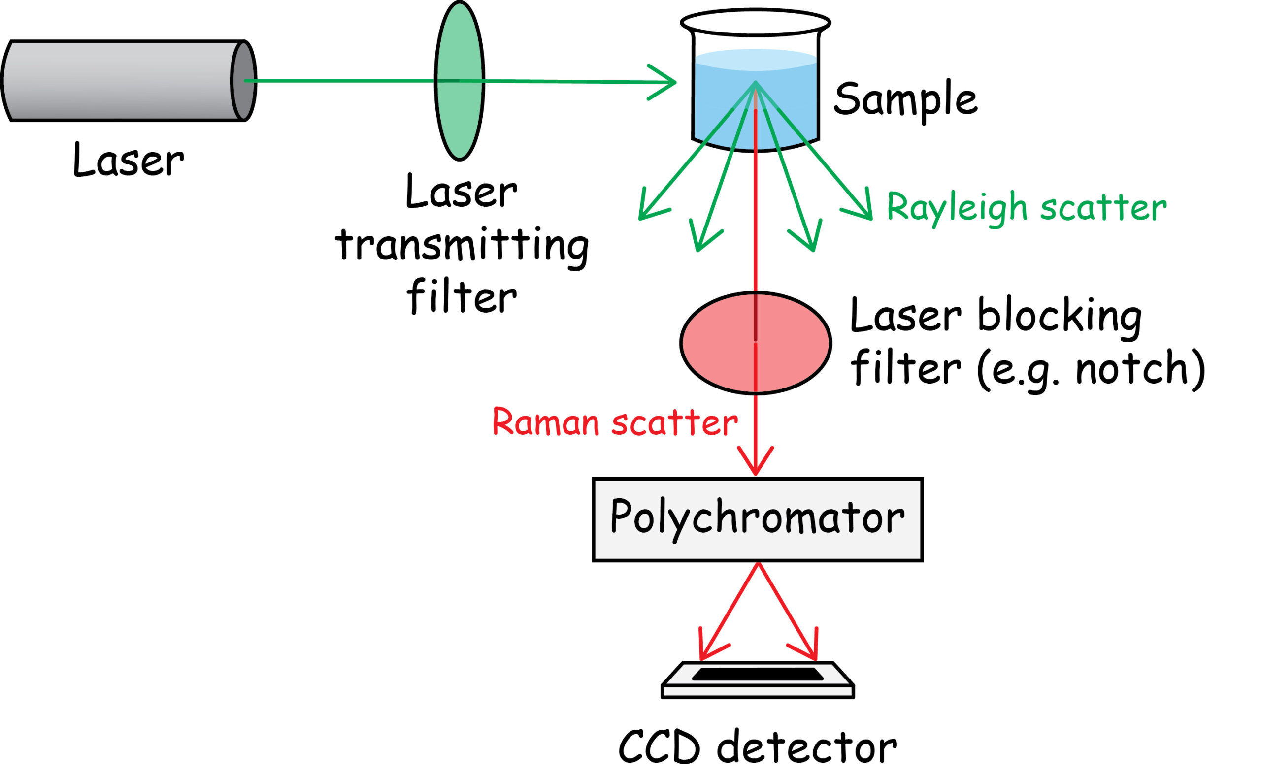 Diagram of a Raman spectrometer