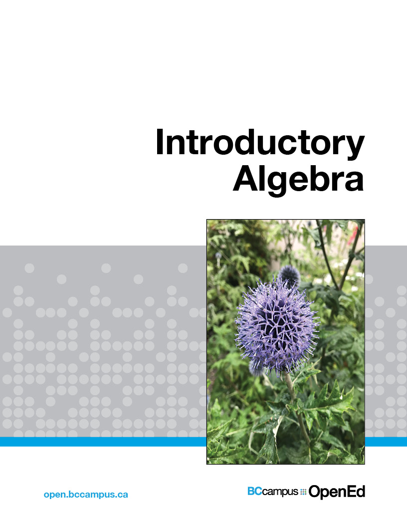 Cover image for Introductory Algebra