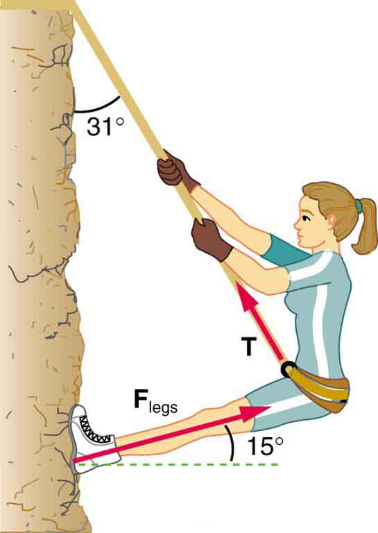 A mountain climber with a mass of fifty two kilograms exerts force with her feet parallel to her legs on a vertical rock face to remain stationary. The angle between her legs and the rock face is fifteen degrees, whereas the angle between the rope and the cliff is thirty one degrees.