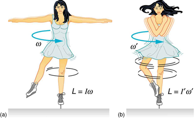 The image a shows an ice skater spinning on the tip of her skate with both her arms and one leg extended. The image b shows the ice skater spinning on the tip of one skate, with her arms crossed and one leg supported on another.