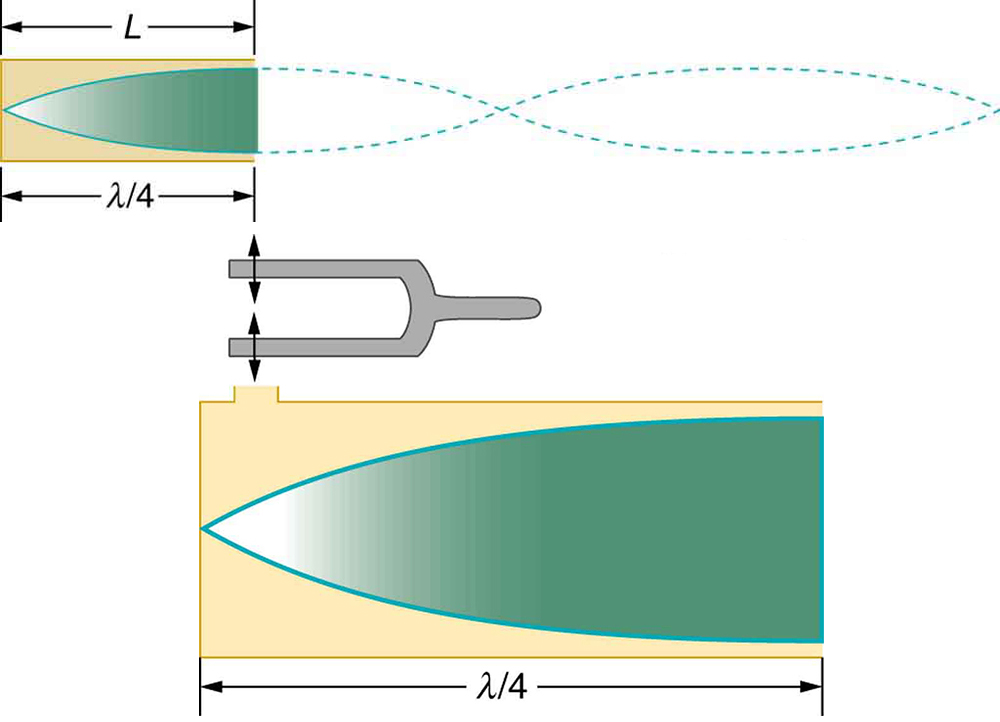 A cone of resonance waves reflected at the closed end of the tube is shown. A tuning fork is shown to vibrate at a small opening above the closed end of the tube. The length of the tube L is given to be equal to lambda divided by four.