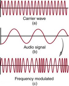 9.8 The Electromagnetic Spectrum – Douglas College Physics 1207