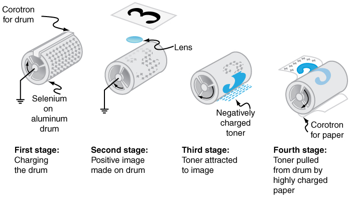 Four stages of xerography are shown. A positively charged aluminum drum is shown which is grounded. In second stage image is being transferred to it, creating positive image. In third stage, negatively charged toner is attached with the drum and in fourth stage, toner is pulled by the paper which is highly charged.