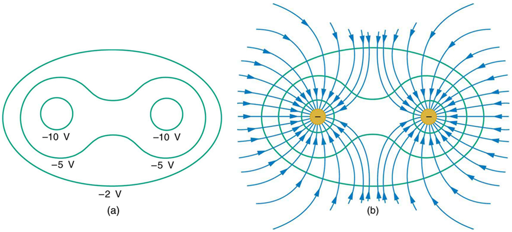 Figure (a) shows two circles, called equipotential lines, along which the potential is negative ten volts. A dumbbell-shaped surface encloses the two circles and is labeled negative five volts. This surface is surrounded by another surface labeled negative two volts. Figure (b) shows the same equipotential lines, each set with a negative charge at its center. Blue electric field lines curve toward the negative charges from all directions.