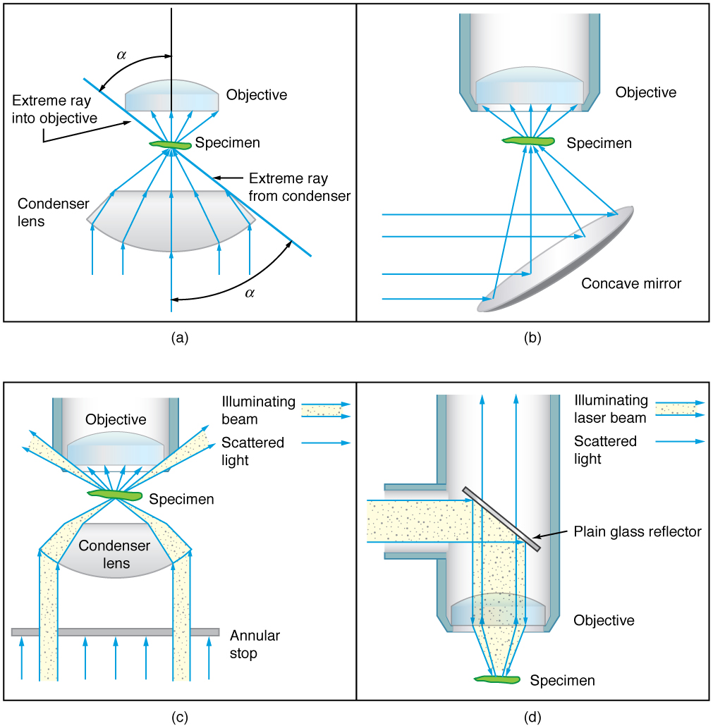 All four parts show ray diagrams of a specimen in different types of microscopes. Part a shows a ray diagram with rays through a condenser lens to the object and then up to the objective lens of the microscope. Part b shows an alternative arrangement where rays of light are reflected off a concave condenser mirror to the specimen and then up to the objective lens of the microscope. Part c shows dark field illumination where the illuminating light beam is fragmented by an annular stop so that its rays only go through the outer portion of the condenser lens which causes them to miss the objective lens. Part d shows high magnification illumination where light rays from a laser are reflected off a plan glass reflector, then go through the objective lens to the lens and then return as scatter light through the objective lens.