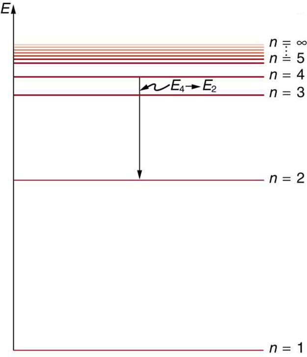 The energy level diagram is shown. A number of horizontal lines are shown. The lines are labeled from bottom to top as n is equal to one, n is equal to two and so on up to n equals infinity; the energy levels increase from bottom to top. The distance between the lines decreases from the bottom line to the top line. A vertical arrow shows an electron transitioning from n equals four to n equals two.