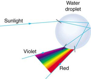 4.5 Dispersion: The Rainbow and Prisms – Douglas College Physics 1207