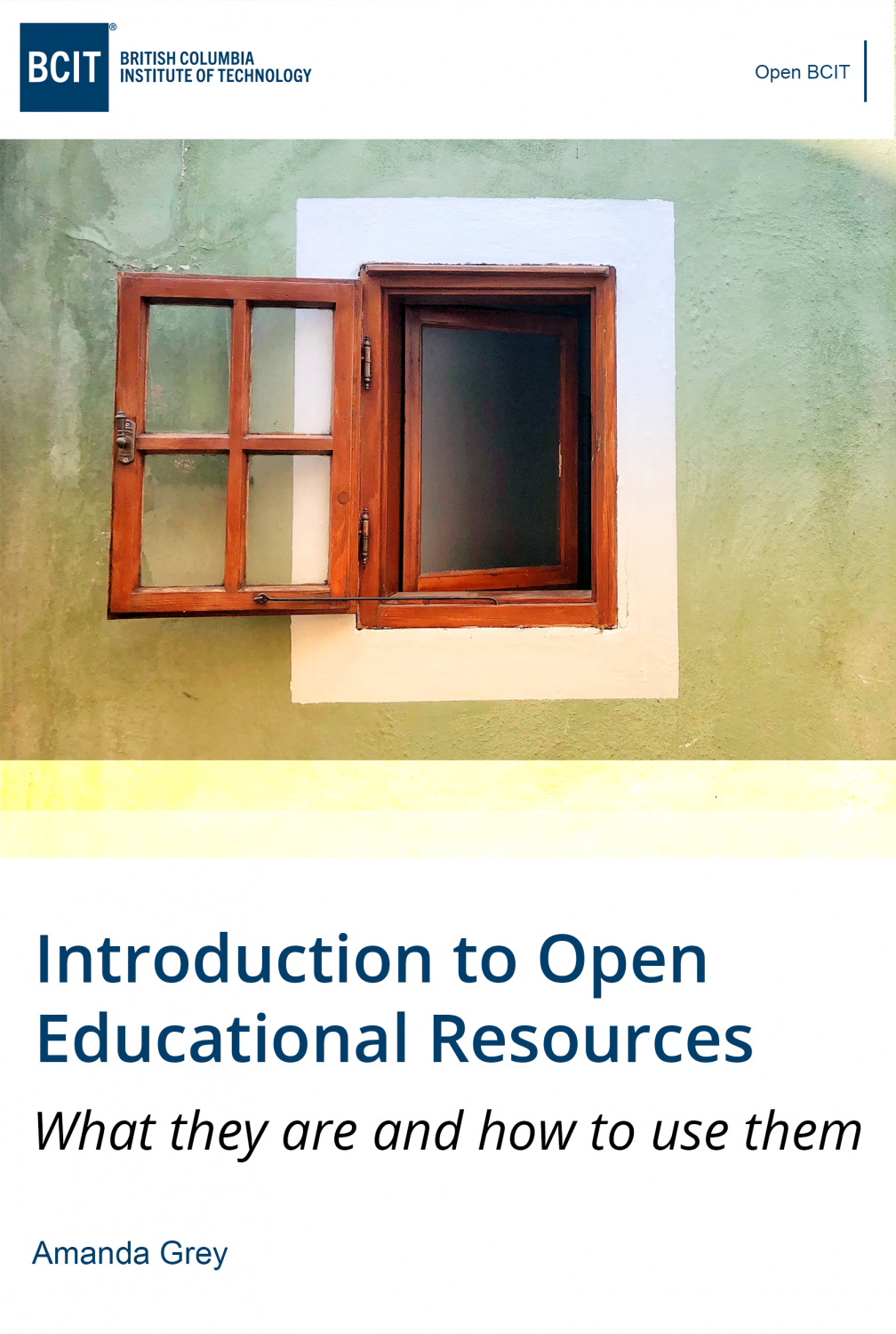 Cover image for Introduction to Open Educational Resources