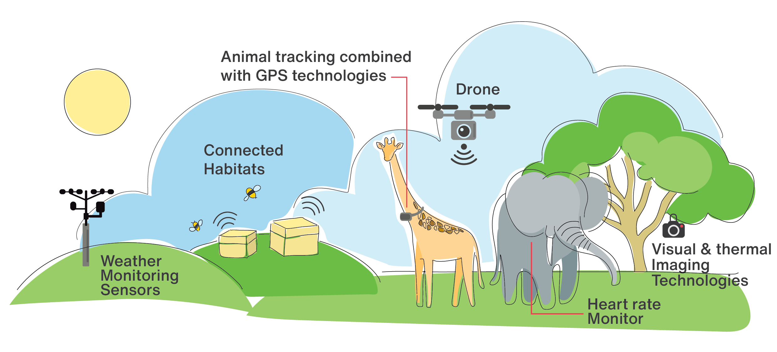 write a case study of iot from your daily life