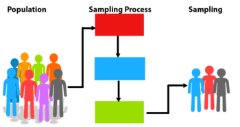 population in experimental research