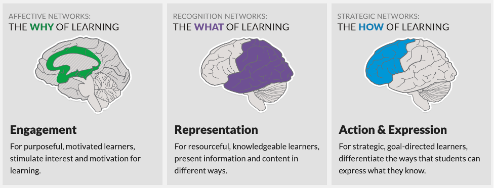 Shows three different parts of the brain: affective network, recognition network, and strategic network.