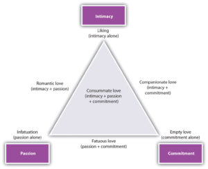 Figure 7.9 Triangular Model of Love