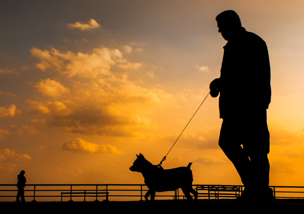 This picture shows a man walking a dog on a leash at sunset.