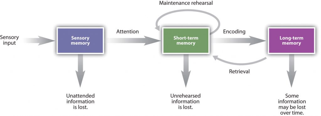 This diagram illustrates memory duration as sensory input potentially transitions from sensory memory to short-term memory and then to long-term memory.